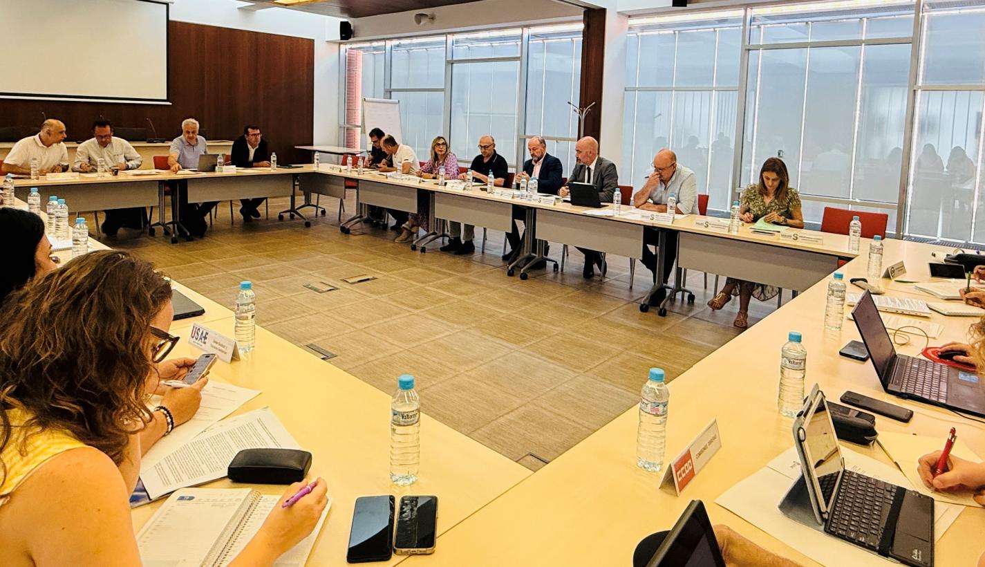 Mesa Sectorial celebrada el 17 de junio de 2025